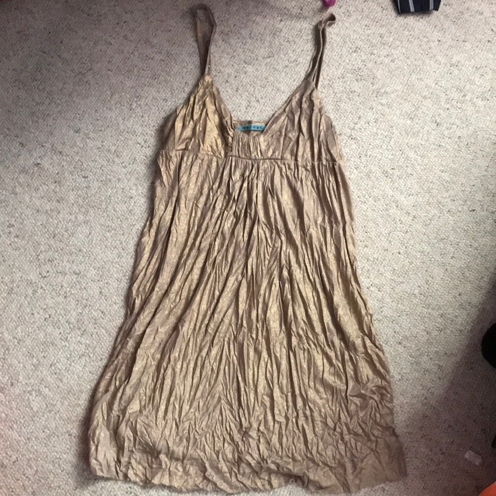 Velvet by Graham and Spencer Dress